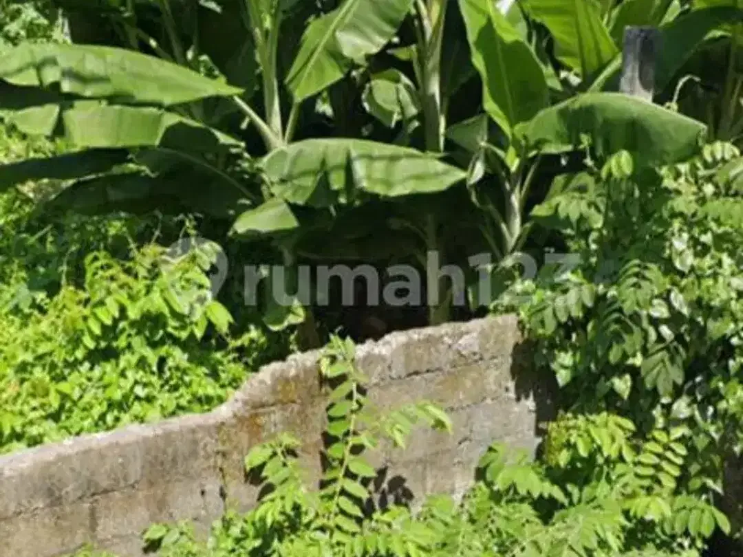 Dijual Tanah Pinggir Jalan Area Perumahan Jimbaran - Image 5 of 7