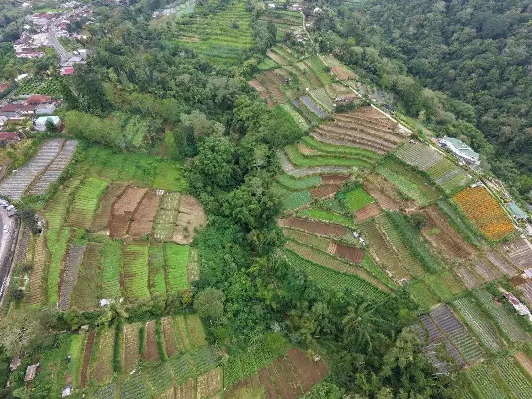 Tanah view pegunungan bedugul - Image 5 of 10