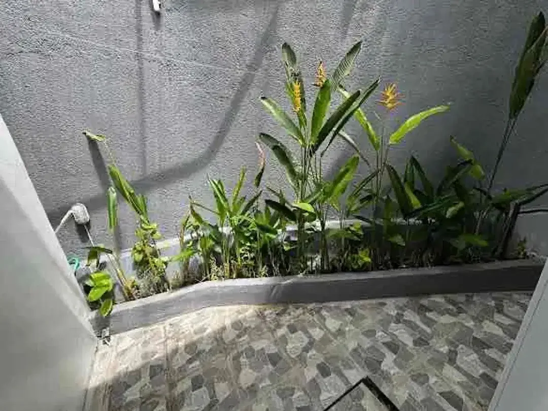 Dijual Rumah Semi Villa di Kawasan Perumahan 2 Gate Sistem di Nusa Dua, Badung - Image 4 of 10