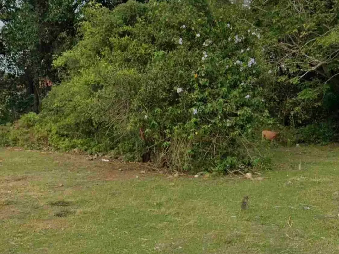 dijual tanah 5,65 are  IDR 400 JT per are diperumahan giri Puspa dekat bypass jimbaran - Image 3 of 7