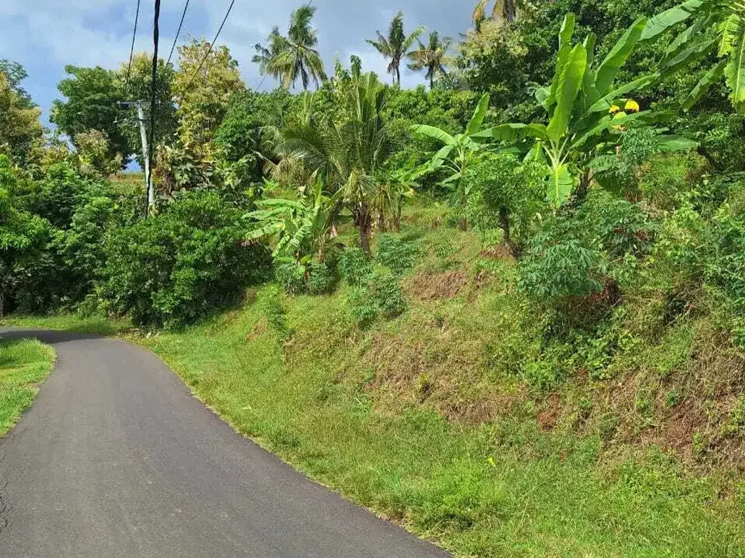 FREEHOLD LAND FOR SALE – LOVINA HILL Bali - Image 9 of 10