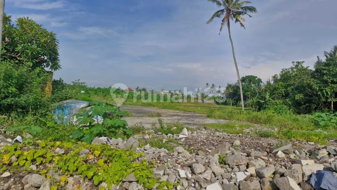 Tanah Cocok Untuk Gudang Di By Pass Mantra Ketewel - Image 1 of 4