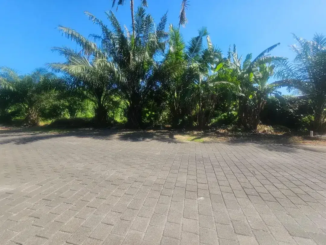 Tanah view sawah Greenlot munggu - Image 6 of 10