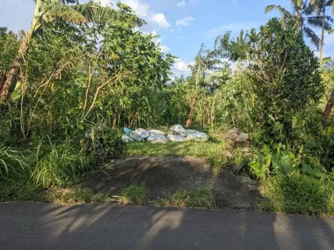 DIJUAL TANAH STRATEGIS DEKAT JATILUWIH TABANAN BALI - Image 3 of 6