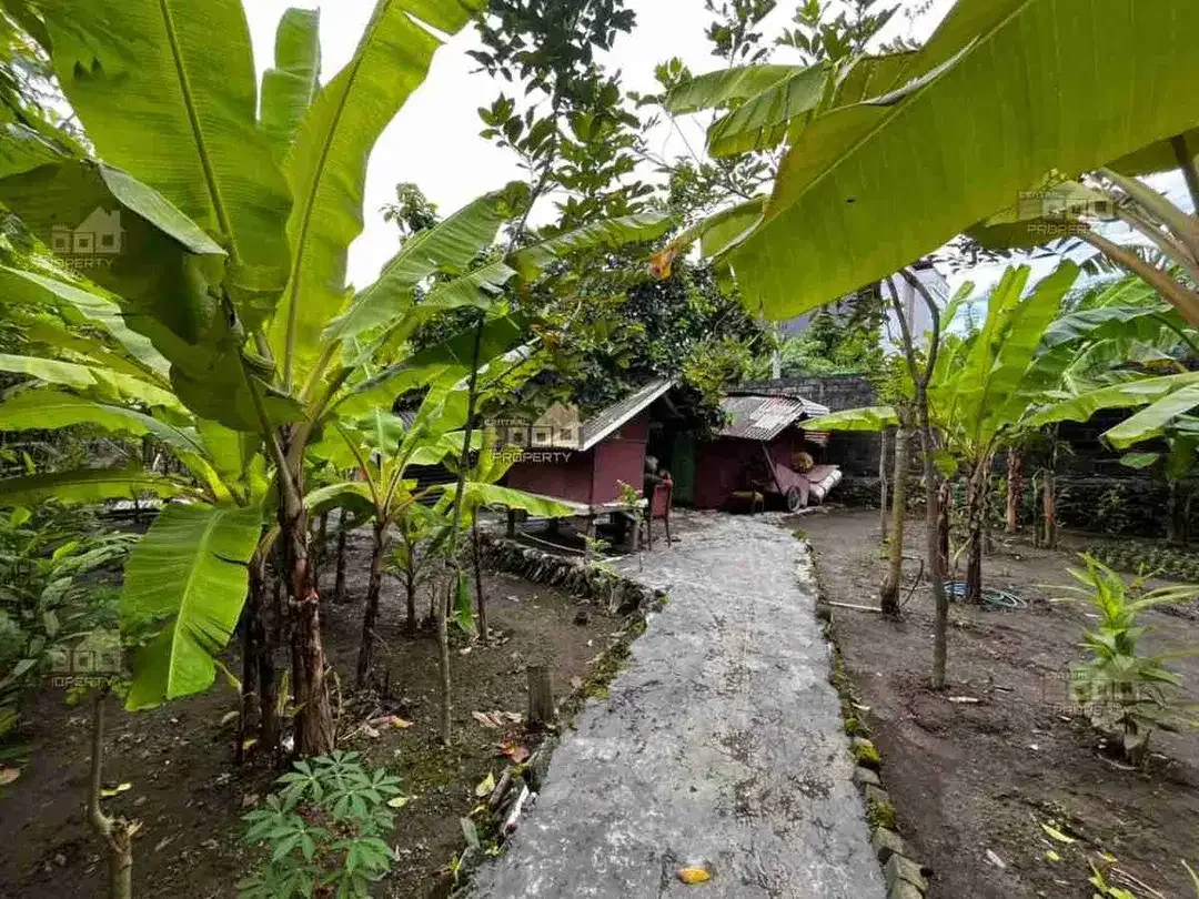 Lahan Komersial Premium di Renon – Lokasi Super Strategis - Image 8 of 10