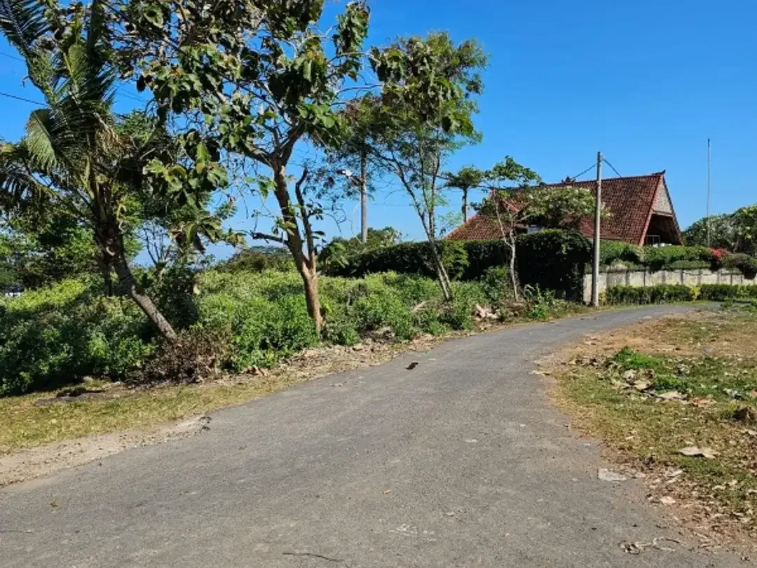TANAH STRATEGIS 200METER KE PANTAI SABA BALI SEBELAH RUMAH ARTIS TOP - Image 4 of 9