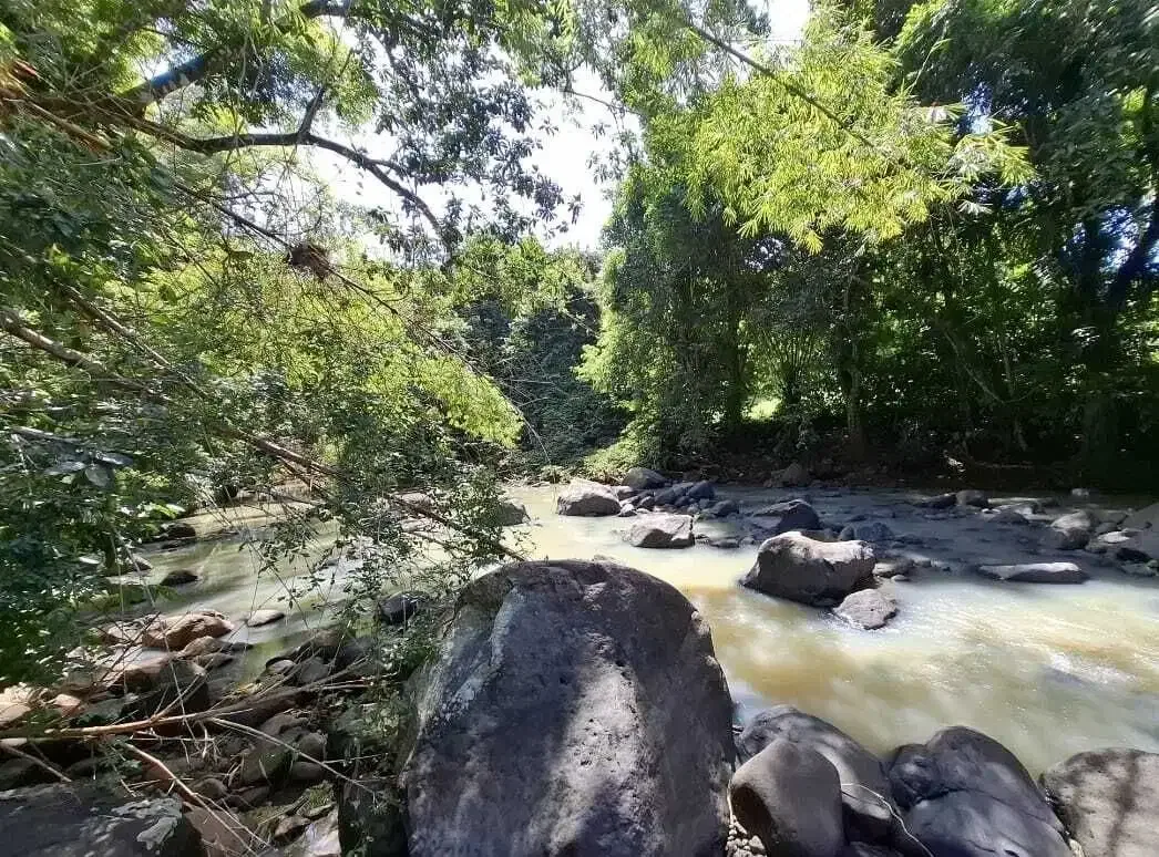 Dijual tanah dekat panta dengan sungai cantik di tabanan bali - Image 1 of 9