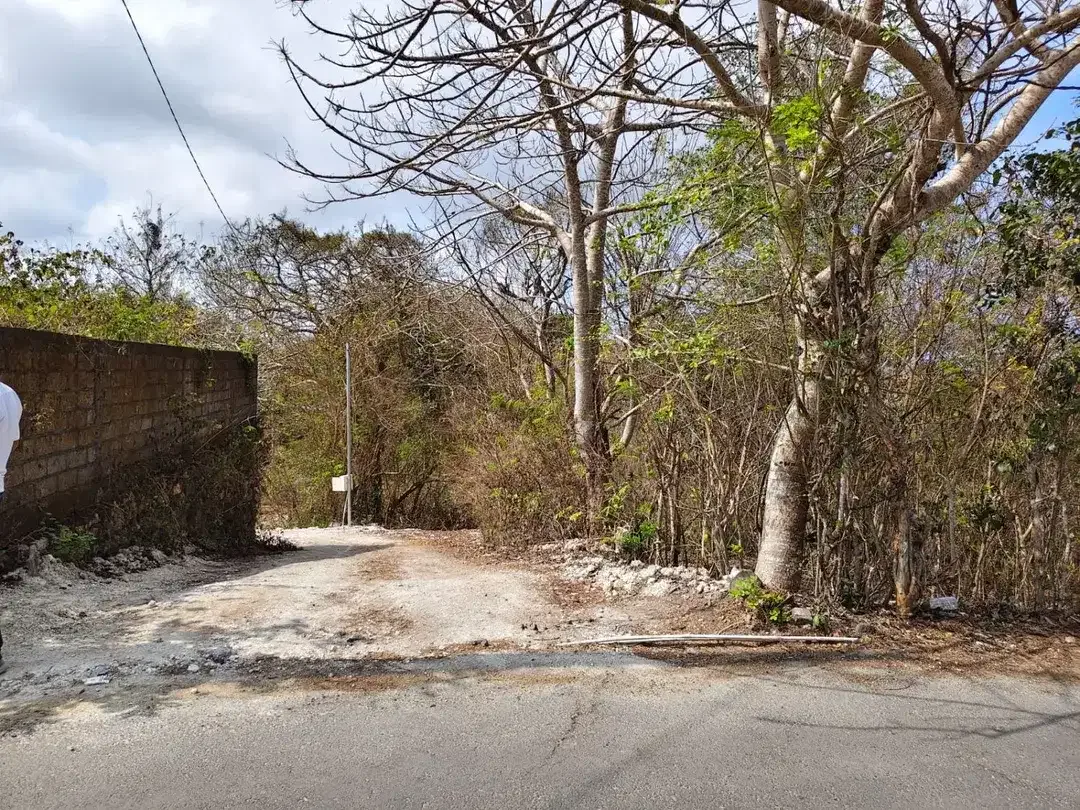 Dijual murah tanah di Jl Mundeh, Kutuh, Kuta selatan, Badung, Bali - Image 3 of 7