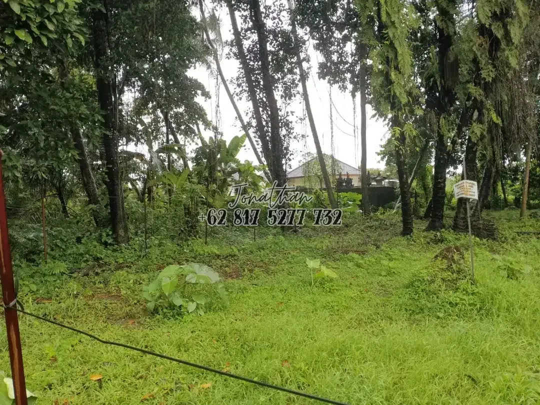 Tanah 300 m2 Zona Kuning Singakerta Ubud Siap Bangun - Image 2 of 6