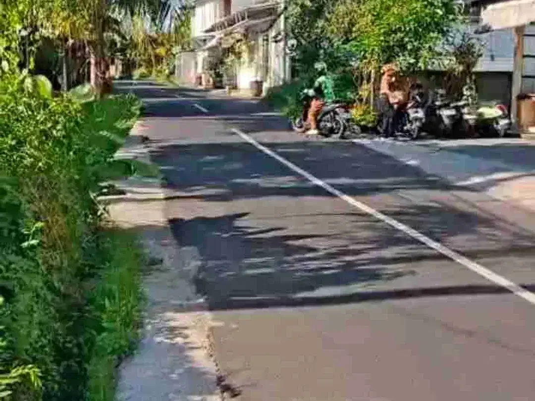 Tanah Komersial Tirta Tawar Ubud, Zona Wisata Strategis - Image 6 of 10