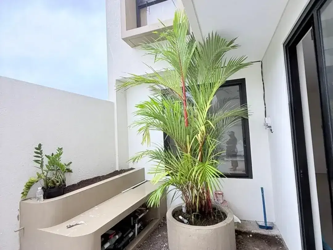 2 Bedroom Villa for rent in Kediri, Bali - Image 10 of 10
