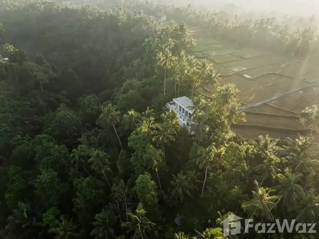 2 Bedroom Villa for sale in Ubud, Bali - Image 6 of 10