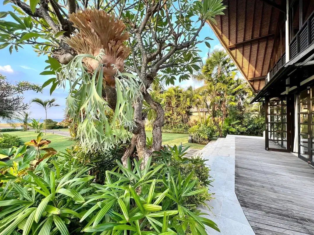 Villa 5 Bedroom di Pinggir Pantai Lovina - Image 9 of 10
