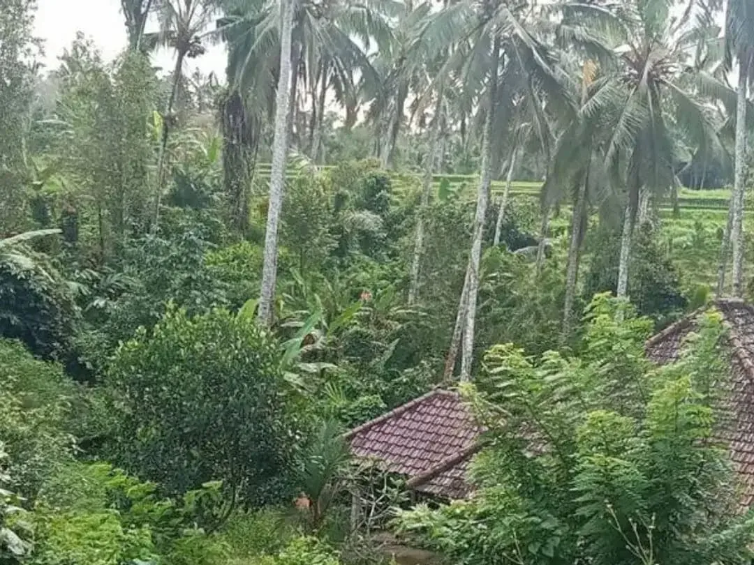 TANAH BONUS BANGUNAN DI KETIMA TABANAN - Image 5 of 9
