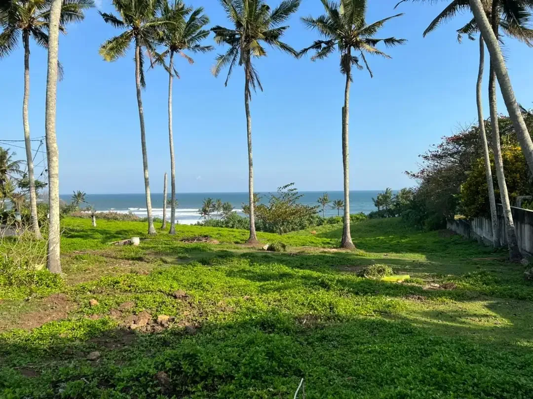 DIJUAL TANAH PREMIUM BEACHFRONT DI TABANAN - Image 2 of 10