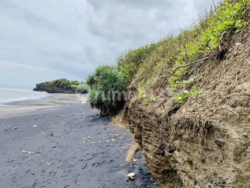 Dijual Cepat Tanah Beachfront/ Los Pantai Nyanyi, Tabanan - Image 3 of 4