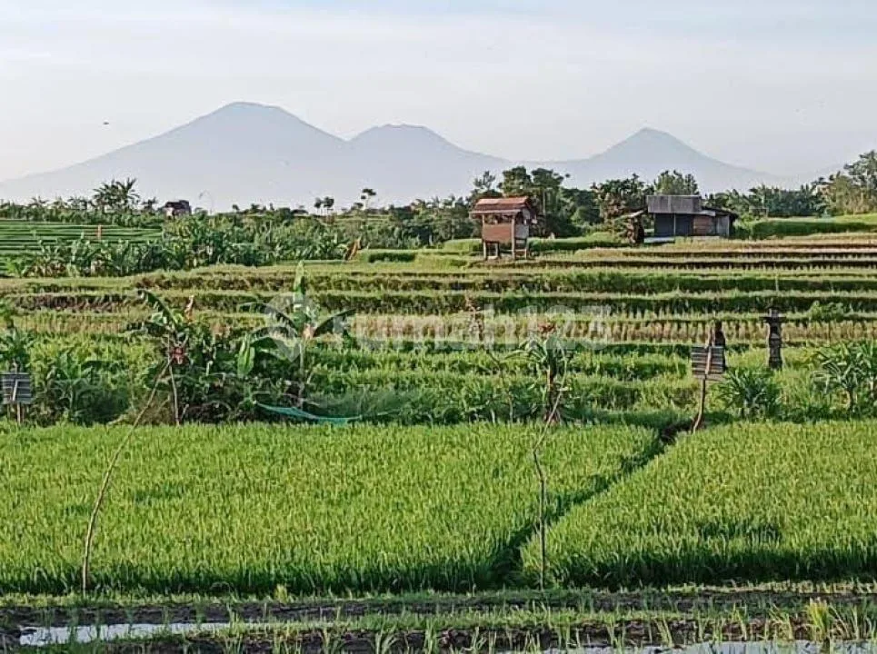 Dijual Tanah Kerobokan - Image 2 of 4