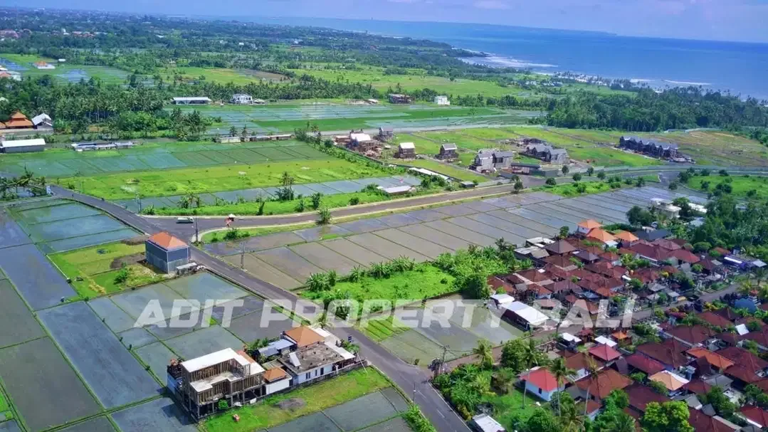 Tanah pangkung tibah kediri tabanan - Image 3 of 10