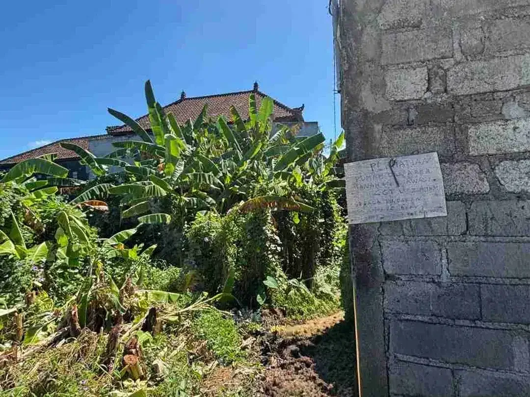 dijual Tanah Plot kecil sangat langka dengan view sawah di Ketewel, Sukawati. - Image 9 of 10