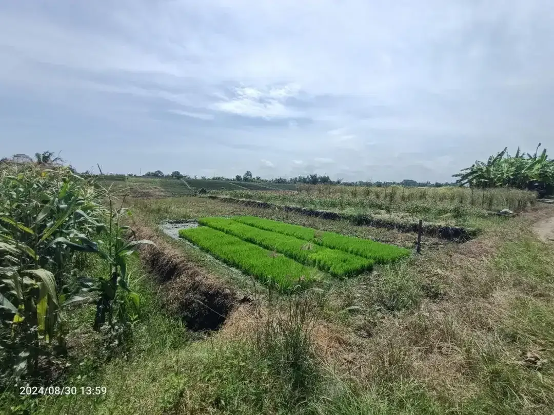 Dijual Tanah siap bangun - Image 3 of 5