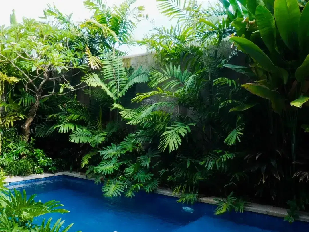 3 Bedroom Villa for sale in Denpasar Selata, Bali - Image 7 of 10