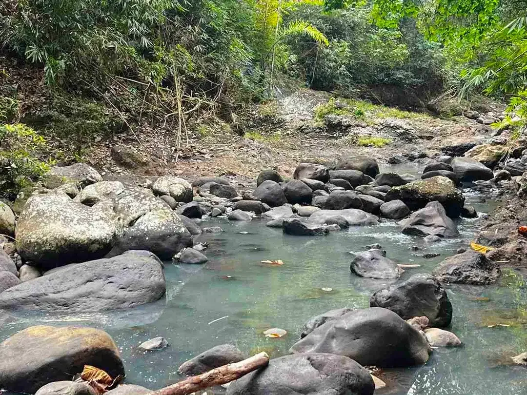 jual tanah Los sungai besar berbatu di desa wisata manikyang tabanan bali. - Image 9 of 10