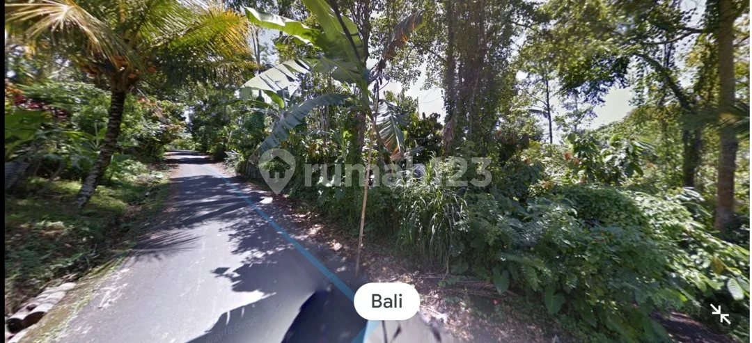 LAHAN KEBUN MURAH BALI - Image 4 of 4