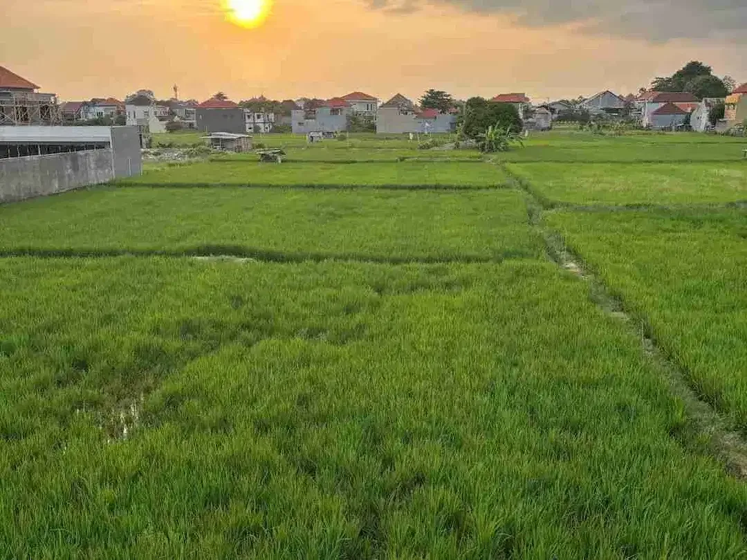 Villa Sanur Kauh View Sawah - Image 2 of 10