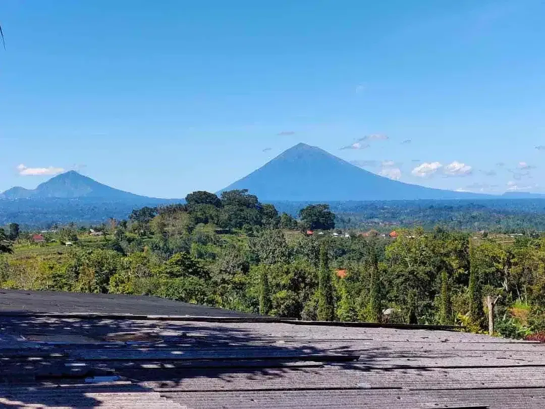 Dijual Villa di Hawa Sejuk Pegunungan – Desa Tamanda, Bedugul Baturiti, Bali - Image 7 of 9
