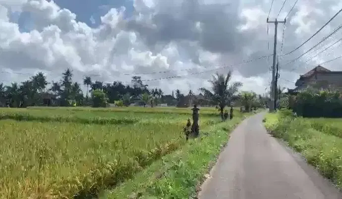 Dijual Tanah View Sawah Dekat ke Central Ubud - Image 3 of 6