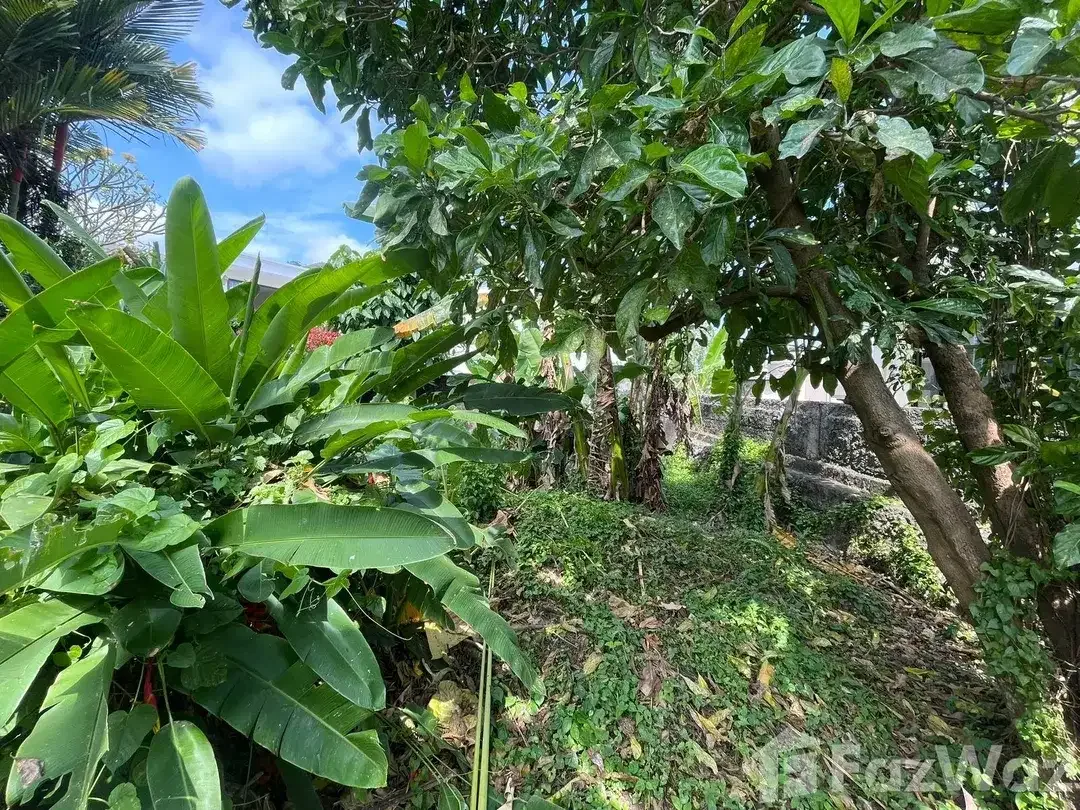 Land for sale in Tumbak Bayuh, Bali - Image 4 of 10