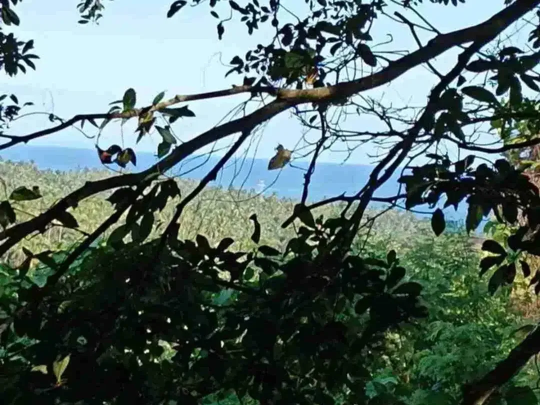 Tanah View Laut dan Sungai Jungle dekat Pantai Selabih Tabanan Bali - Image 1 of 2