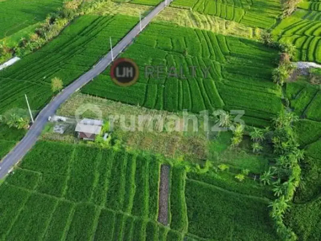 Dijual Tanah Munggu Badung Bali Dekat Pantai Munggu - Image 4 of 5