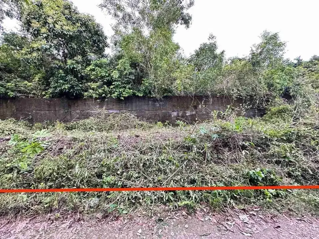 Tanah Strategis Jl Toyaning Ungasan dekat Pantai - Image 3 of 9