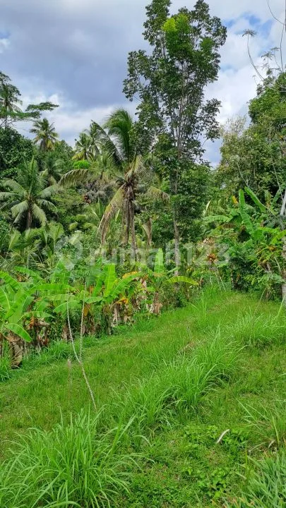 Jual tanah ubud payangan - Image 3 of 4
