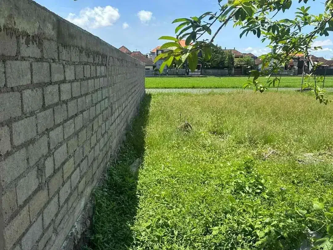 DI JUAL TANAH LUASAN KECIL SIAP DI BANGUN 

LOKASI KALIMUTU DENPASAR - Image 4 of 7