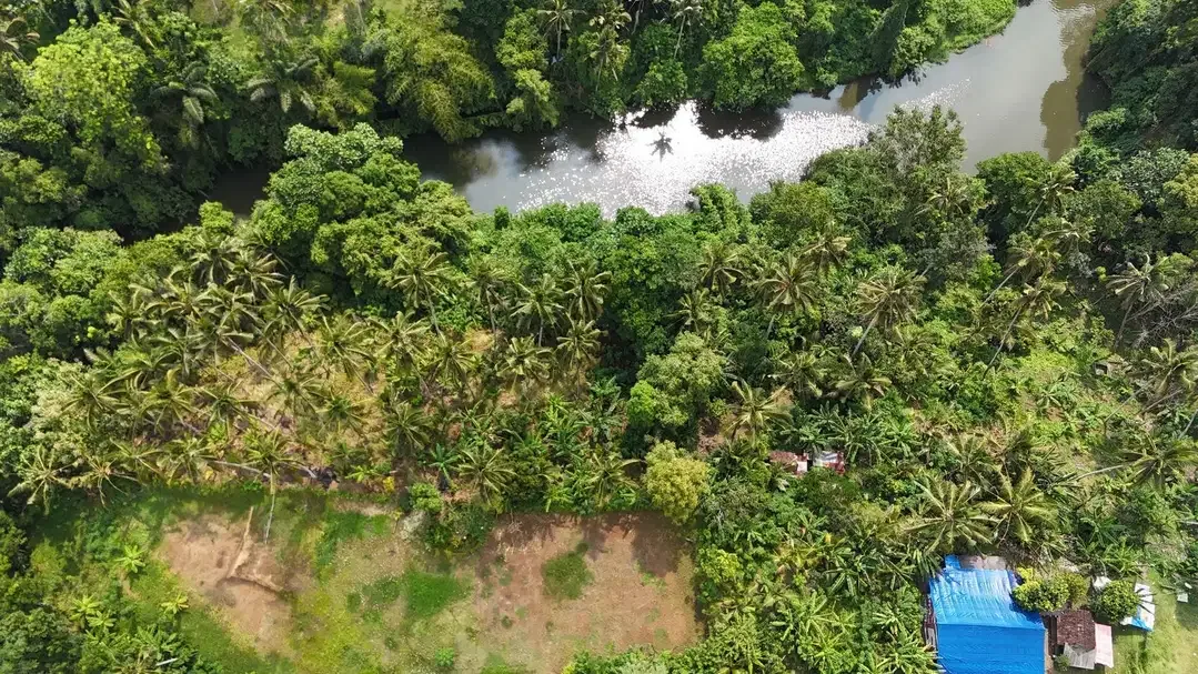 Dijual Tanah Tepi Sungai Lokasi Tabanan - Image 2 of 10