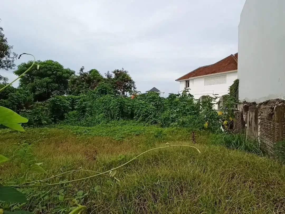 Freehold - Rare Land Plot with River & Rice Field View for Sale Canggu - Image 4 of 7