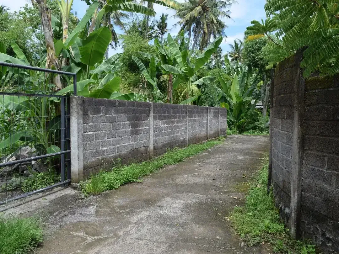 Dijual Tanah di Buleleng Dekat Pantai Lovina - Image 3 of 10