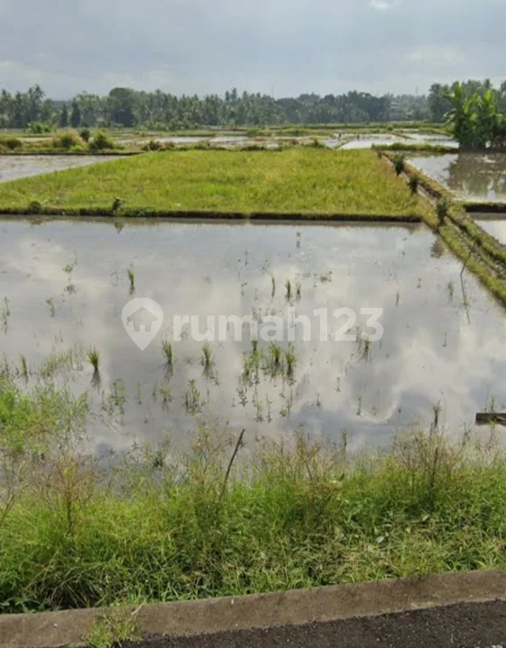 Tanah Dekat Beach Glamping Kedungu Shm 1130.0 MÂ² - Image 4 of 4