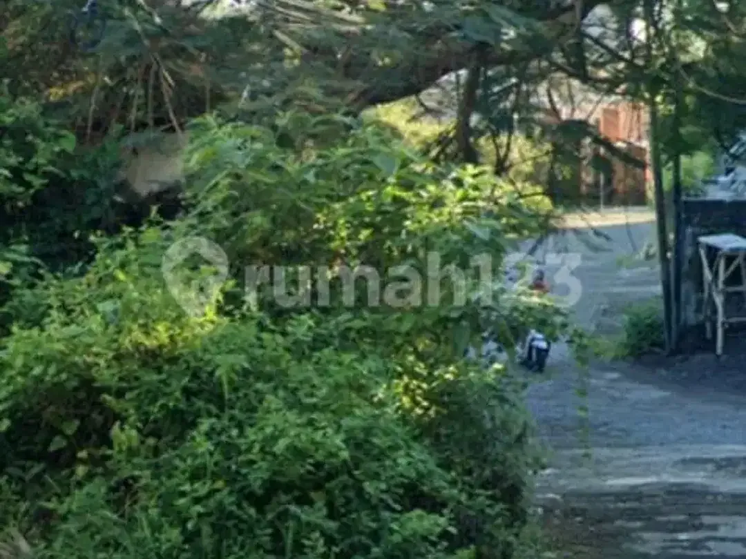 Tanah Premium Pinggir Jalan Nusa Dua Cocok untuk Investasi - Image 1 of 5