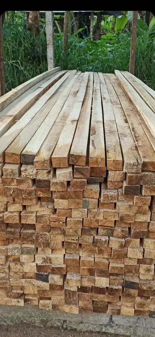 Dijual kayu jimas super lurus dll dri pemotongan langsung - Image 3 of 5