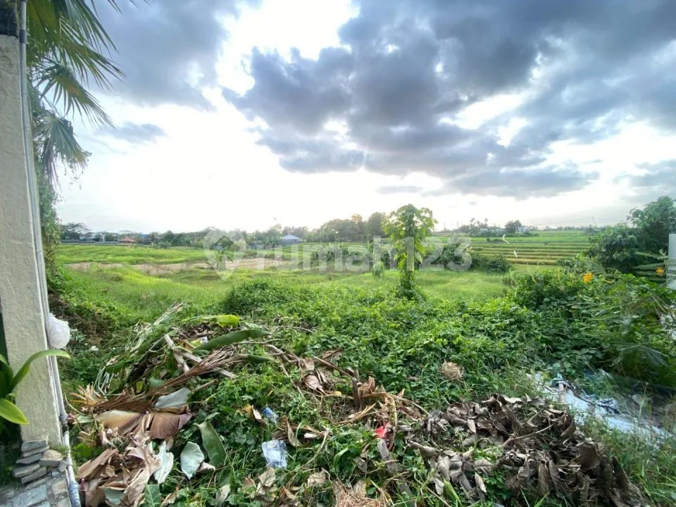 Tanah 7 Are View Sawah Abadi di Pantai Nyanyi Tabanan Dekat ke Pantai Area Villa Zona Kuning - Image 2 of 4