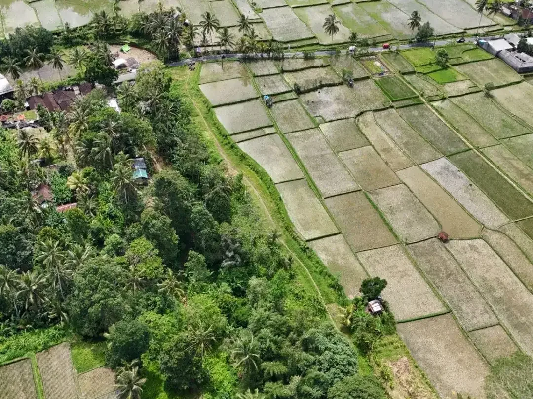 Rare! Tanah Kavling View Sawah – Lingkungan Asri, Legalitas Aman - Image 6 of 10