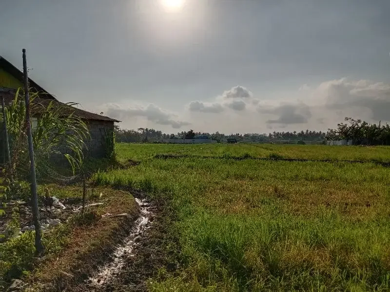 DIJUAL TANAH COCOK UNTUK GUDANG DAN USAHA - Image 3 of 9