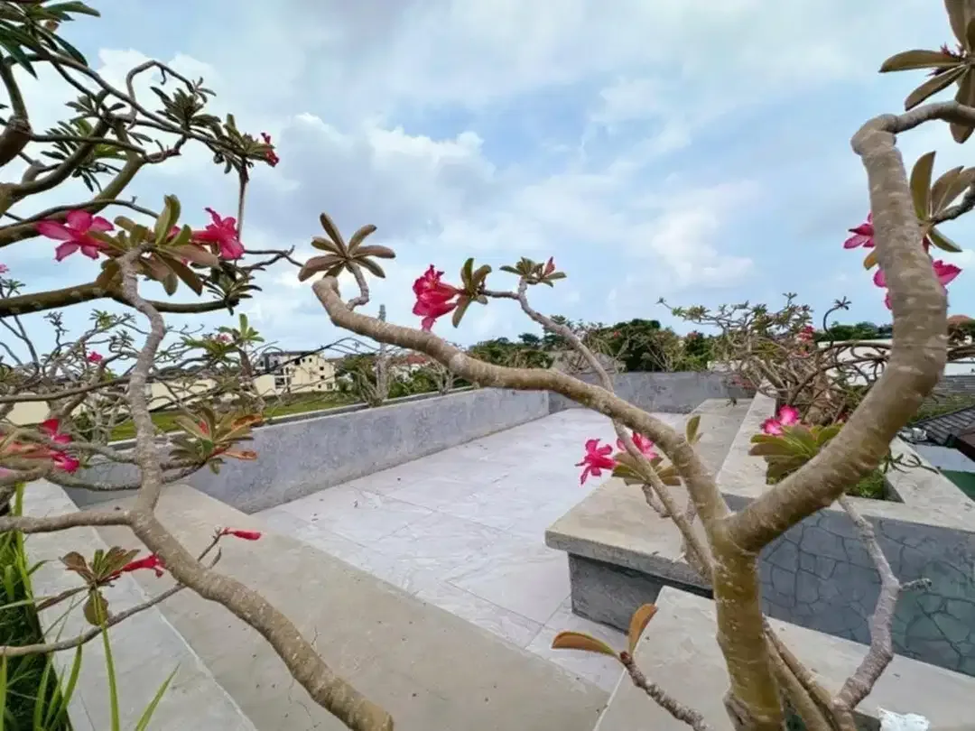 Villa for Sale – Freehold in Prime Canggu - Image 4 of 10