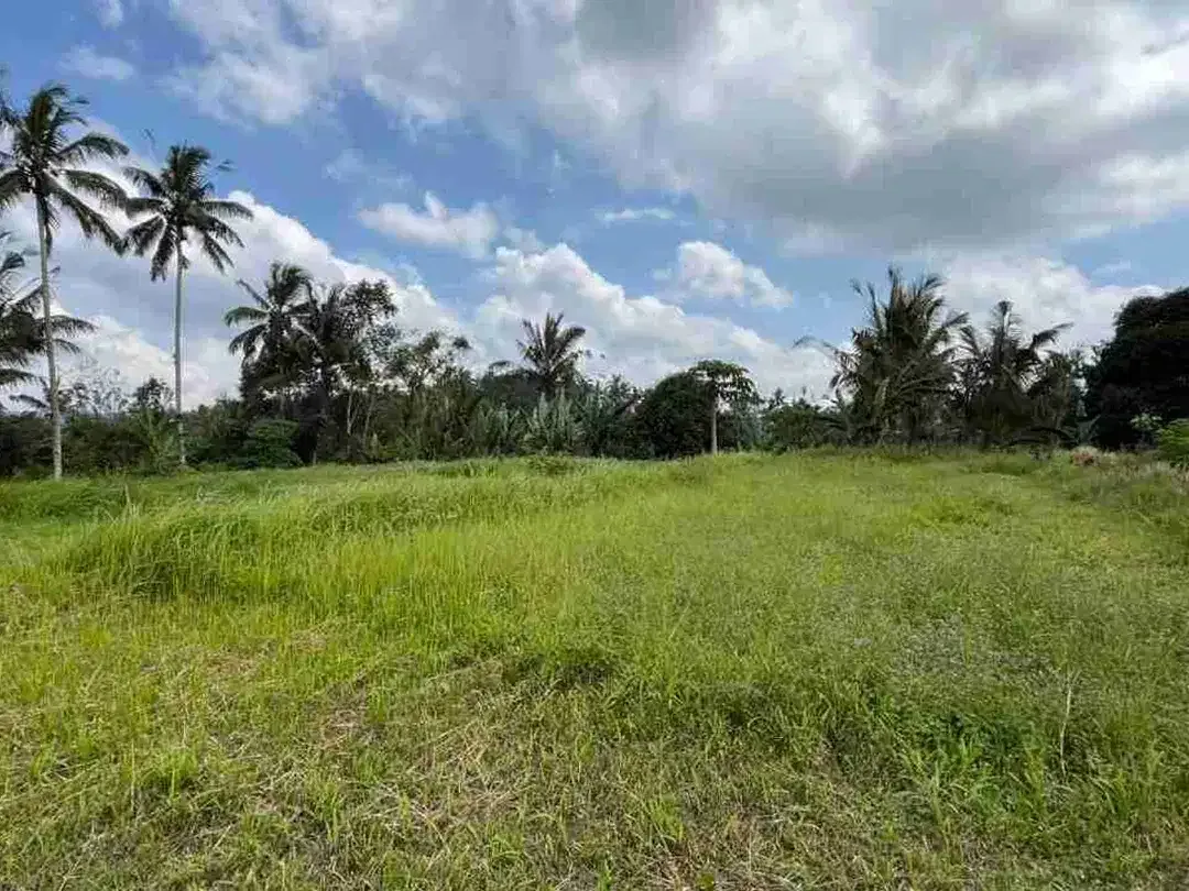 jual tanah flat datar di tabanan bali. - Image 2 of 10
