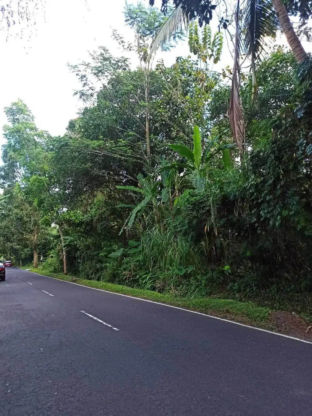 DIJUAL TANAH MURAH DI UBUD GIANYAR - Image 3 of 8