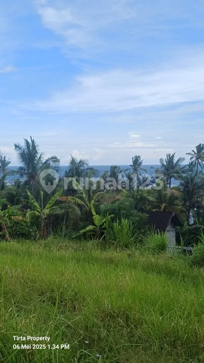 Tanah di Jalan Raya Denpasar-Gilimanuk 18, Selabih, Selemadeg Barat, Tabanan, Bali, Indonesia, 82162, Selemadeg SHM 2300.0 M² - Image 1 of 4