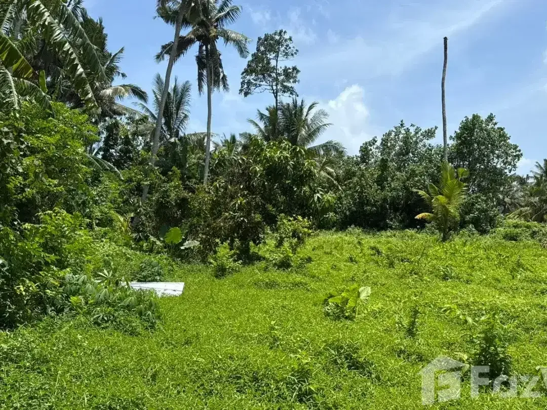 Land for sale in Kedungu, Bali - Image 7 of 10